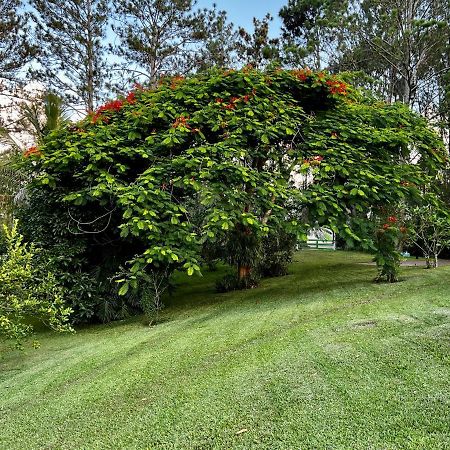 Gaestezimmer In Der Villa Zimmer Jarabacoa Zewnętrze zdjęcie