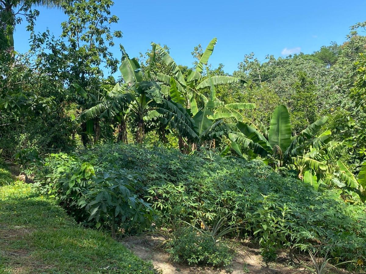 Gaestezimmer In Der Villa Zimmer Jarabacoa Zewnętrze zdjęcie