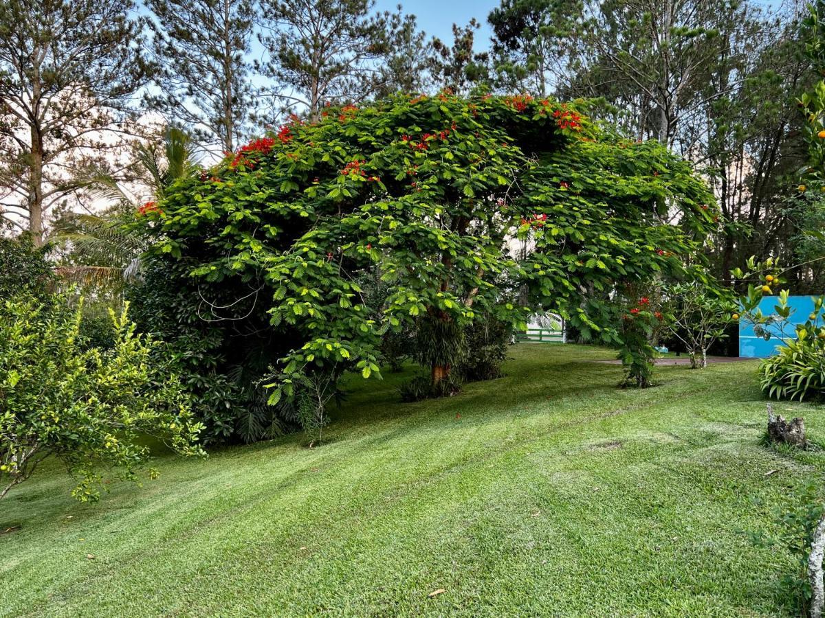 Gaestezimmer In Der Villa Zimmer Jarabacoa Zewnętrze zdjęcie